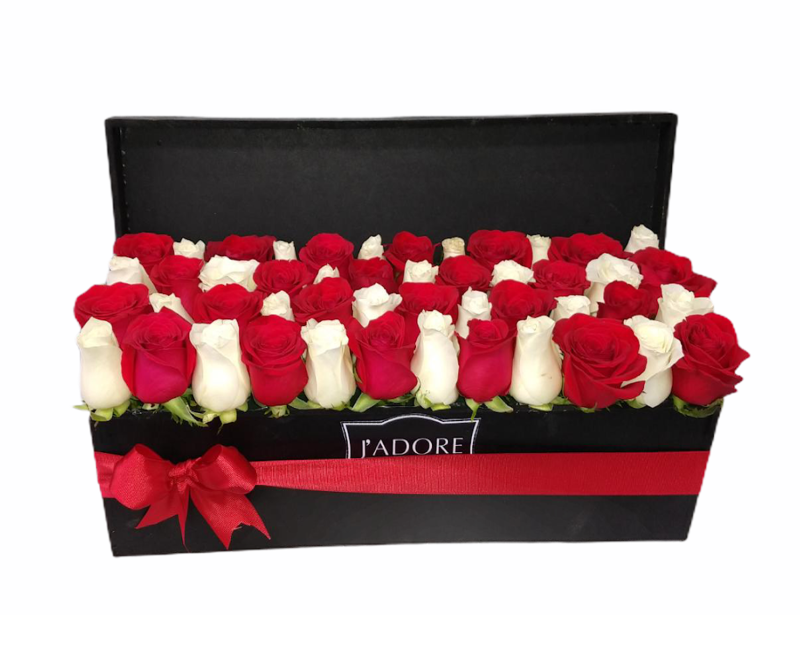Arreglo de 48 rosas