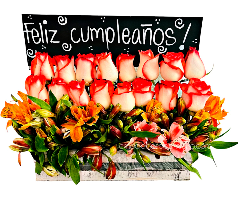 Rosas Feliz Día